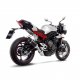 LV Pro Carbon Triumph Street Triple 765 (17-22)