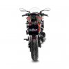LV Pro Carbon Slip-on KTM RC 125, RC 390 (22-23)