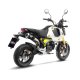 LV-10 Carbon Full system HONDA MSX 125 / GROM (22-24) LV-10 Carbon Full system HONDA MSX 125 / GROM (22-24)