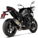 Slip-On Line Titanium Kawasaki Z 900 (25) Slip-On Line Titanium Kawasaki Z 900 (25)