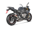 S-B10SO9-CUBT Výfuková koncovka BMW S 1000 R / M 1000 R (17-20)