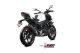 GP Carbon CC CF MOTO 450NK (23-24)
