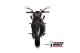 GP Carbon CC CF MOTO 450NK (23-24)