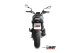 MK3 Carbon BENELLI LEONCINO 800 (22-24)