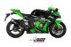 DELTA RACE Carbon KAWASAKI ZX-10 R / RR / SE (16-24)