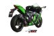 DELTA RACE Carbon KAWASAKI ZX-10 R / RR / SE (16-24)