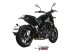 DOUBLE GUN SB BENELLI LEONCINO 500 (17-24)