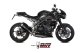 DELTA RACE Carbon TRIUMPH SPEED TRIPLE 1050 R / S / RS (18-20)