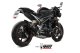 DELTA RACE Carbon TRIUMPH SPEED TRIPLE 1050 R / S / RS (18-20)