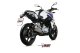 DELTA RACE SS BMW G 310 R (18-24)