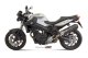 OVAL Carbon CC BMW F 800 R / GT (09-20)