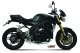 GP Carbon TRIUMPH SPEED TRIPLE 1050 R / S / RS (05-06)