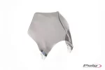 Plexi Raptor 2127 HONDA CB600F HORNET (03-04)
