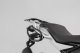 Pravý nosič SLC HTA.07.862.11000 černá, BMW G 310 GS (17-)