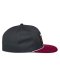 Intuitive Snapback (šedá/červená)