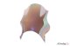 Plexi Track 4235 SUZUKI GSF1200 BANDIT (06), GSF1250 BANDIT (07-09), GSF650 BANDIT (05-08), GSF650 BANDIT ABS (05-06)