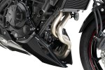 Spoiler motoru 22531 KAWASAKI Z650 (20-26), Z650S (26)