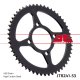 JTR 241-53 Honda JTR 241-53 Honda